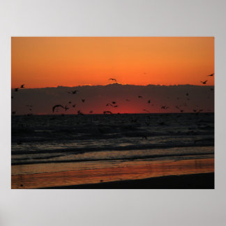 Vögel, die über den Ozean fliegen Poster