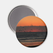 Vögel, die über den Ozeansonnenuntergang fliegen Magnet (Vorderseite/Rückseite)