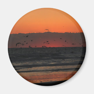 Vögel, die über den Ozeansonnenuntergang fliegen Magnet