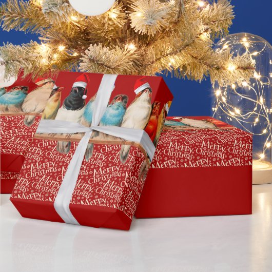 Vögel, die Weihnachtsmannmützen tragen Geschenkpapier (Feiertage)