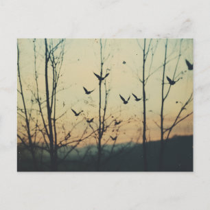 Vögel - Doppelbelastung Postkarte