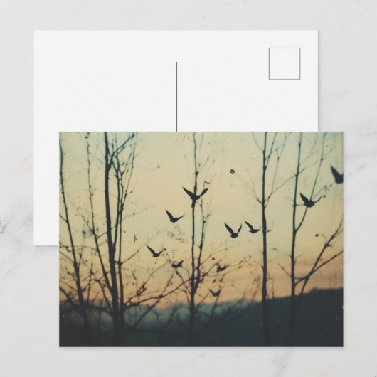 Vögel - Doppelbelastung Postkarte (Vorne/Hinten)