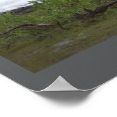 Vögel durch das Wasserplakat Poster (Ecke)