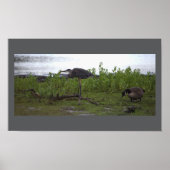 Vögel durch das Wasserplakat Poster (Vorne)