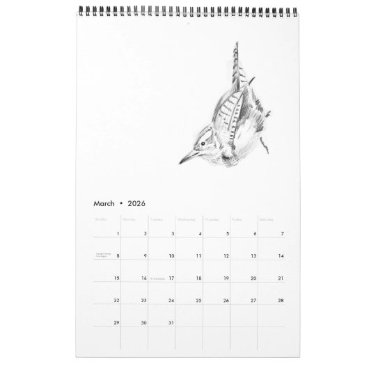 Vögel: Ein Kalender (Mär 2026)
