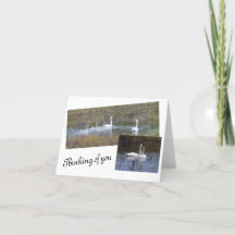 Vögel einer Feather Blank-Mitteilungskarten