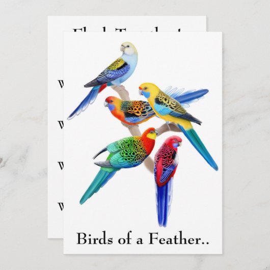 Vögel einer Feather Parrots-Party Einladung (Vorne/Hinten)