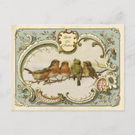 Vögel einer Feather Vintag Reproduction Postcard Postkarte