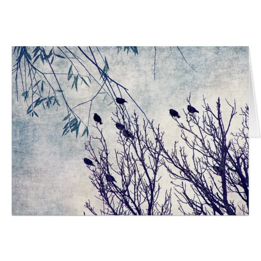 Vögel einer Feder 2 (Vorderseite (Horizontal))