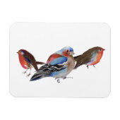 Vögel einer Feder 2011 Magnet (Horizontal)