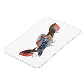 Vögel einer Feder 2011 Magnet (Linke Seite)