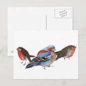 Vögel einer Feder 2011 Postkarte (Vorne/Hinten)
