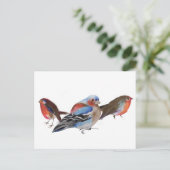 Vögel einer Feder 2011 Postkarte (Stehend Vorderseite)
