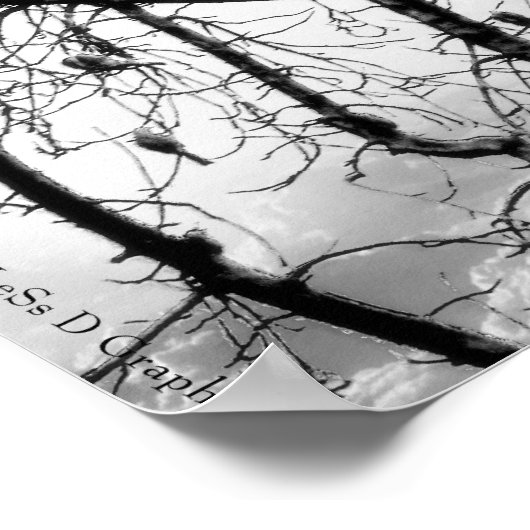 Vögel einer Feder Poster (Ecke)