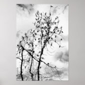 Vögel einer Feder Poster (Vorne)