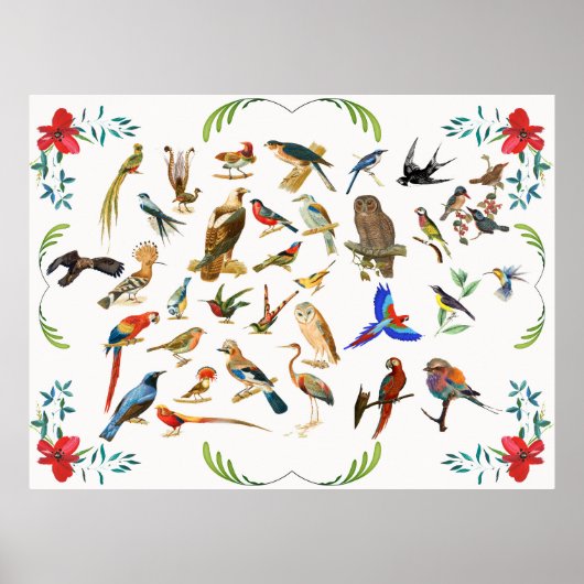Vögel einer Feder Poster (Vorne)