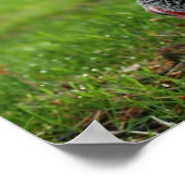 "Vögel einer Feder" Poster (Ecke)