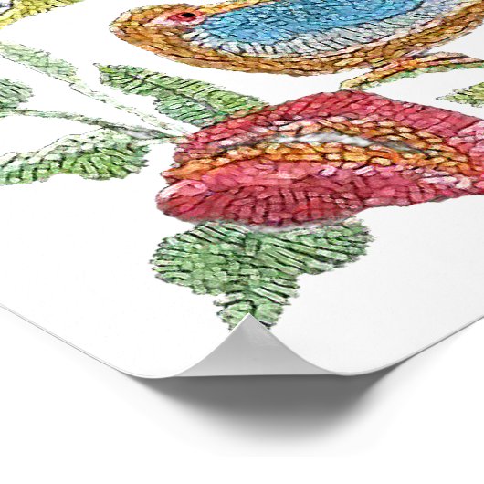 Vögel einer Feder Poster (Ecke)