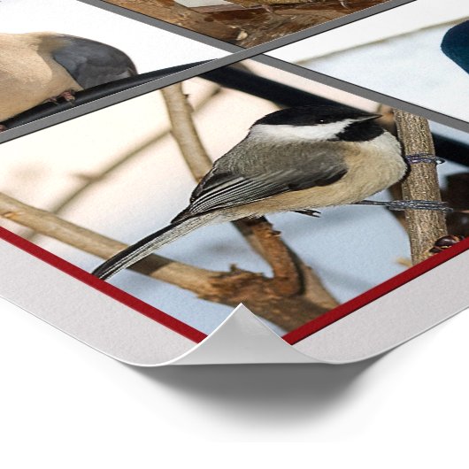 Vögel einer Feder (POSTER) Poster (Ecke)