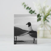 Vögel einer Feder Postkarte (Stehend Vorderseite)