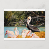 Vögel einer Feder Postkarte (Vorderseite)