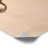 VÖGEL EINES FEATHER BRANCH Poster (Ecke)