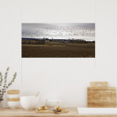 Vögel eines Feather Flock - Kunstdruck Poster (Küche)