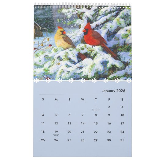 Vögel eines Feather-Kalenders 2024 Kalender (Jan 2026)