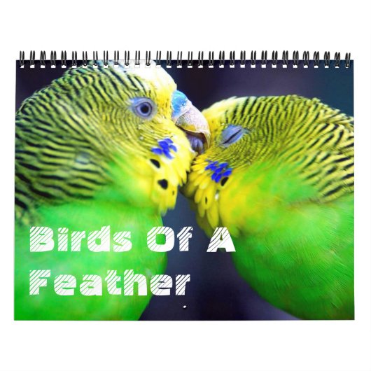 Vögel eines Feather-Kalenders Kalender (Titelbild)