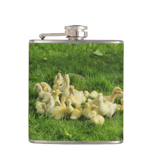 Vögel, Enten, Enten, Enten, Gelb, Natur, niedlich, Flachmann