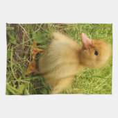 Vögel, Enten, Enten, Enten, Gelb, Natur, niedlich, Geschirrtuch (Horizontal)