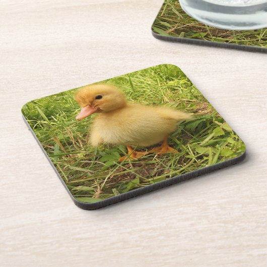 Vögel, Enten, Enten, Enten, Gelb, Natur, niedlich, Getränkeuntersetzer (Linke Seite)