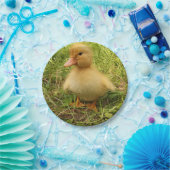 Vögel, Enten, Enten, Enten, Gelb, Natur, niedlich, Pappteller (Party)