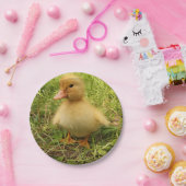 Vögel, Enten, Enten, Enten, Gelb, Natur, niedlich, Pappteller (Party)