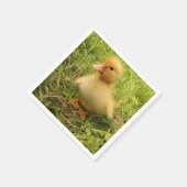 Vögel, Enten, Enten, Enten, Gelb, Natur, niedlich, Serviette (Ecke)