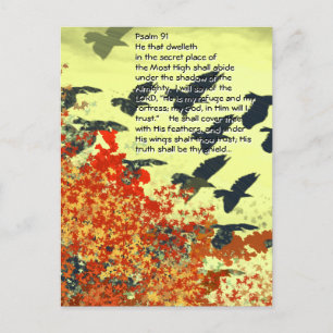 Vögel Er wird dich mit seinen Federn bedecken; Postkarte