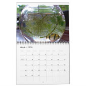 Vögel, Fische und andere exotische Tiere Kalender (Mär 2026)