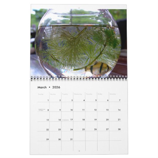 Vögel, Fische und andere exotische Tiere Kalender (Mär 2026)