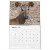 Vögel, Fische und andere exotische Tiere Kalender (Feb 2026)