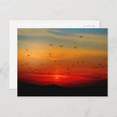 Vögel fliegen bei Sonnenuntergang, malerisches Fot Postkarte (Vorne/Hinten)