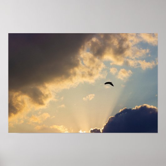 Vögel fliegen bei Sonnenuntergang Poster (Vorne)