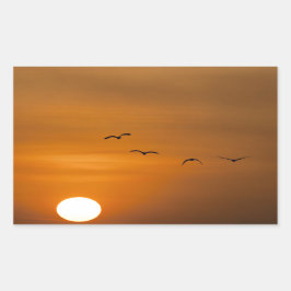 Vögel fliegen bei Sonnenuntergang Rechteckiger Aufkleber