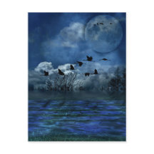 Vögel fliegen nachts