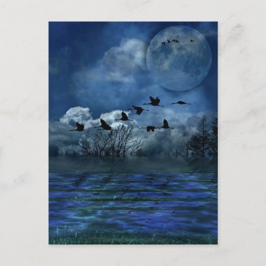 Vögel fliegen nachts postkarte (Vorderseite)