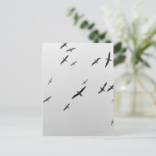 Vögel fliegen postkarte (Stehend Vorderseite)