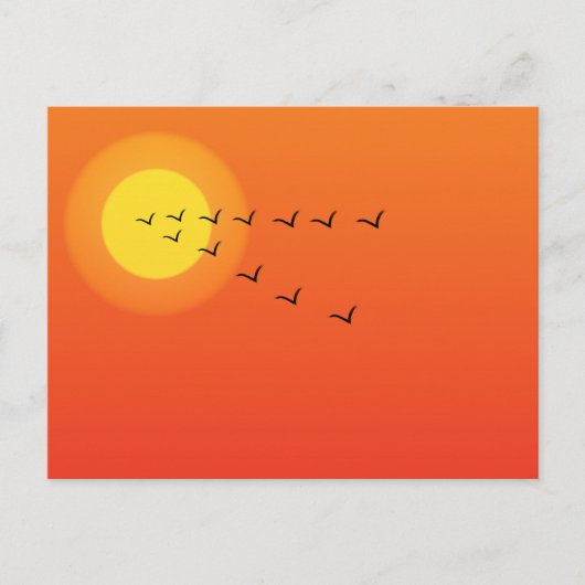 Vögel fliegen zur Sonne Postkarte (Vorderseite)