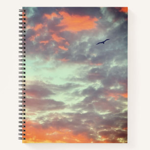 Vogel fliegt rosa Wolken Himmel Foto Notizblock