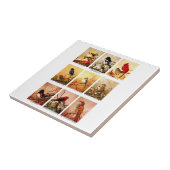 Vögel Fliese (Seite)