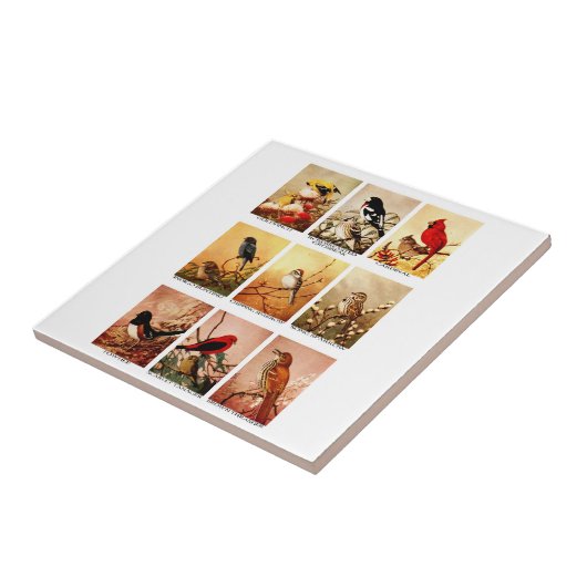 Vögel Fliese (Seite)