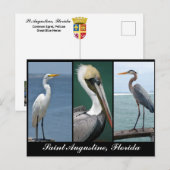 Vögel Floridas Postkarte (Vorne/Hinten)